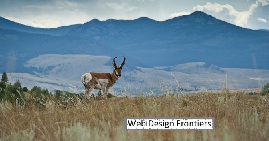 Web Design Frontiers